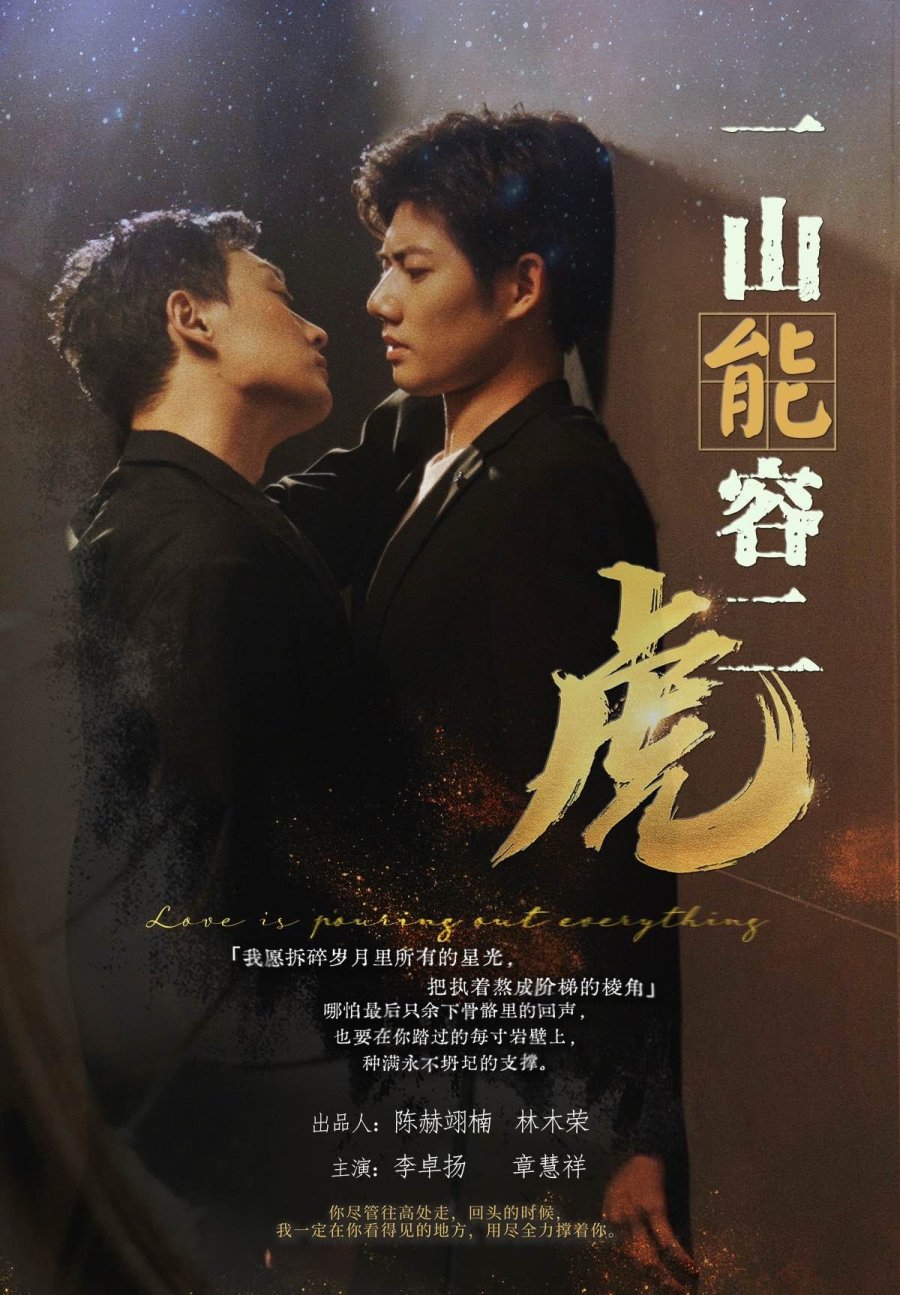 A Mountain Can Hold Two Tigers poster