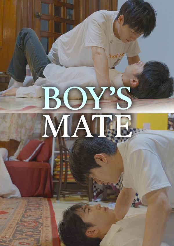 Boysmate poster