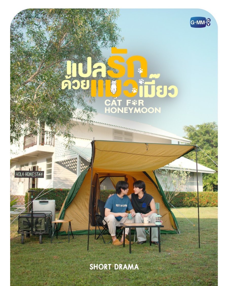 Cat for Honeymoon poster