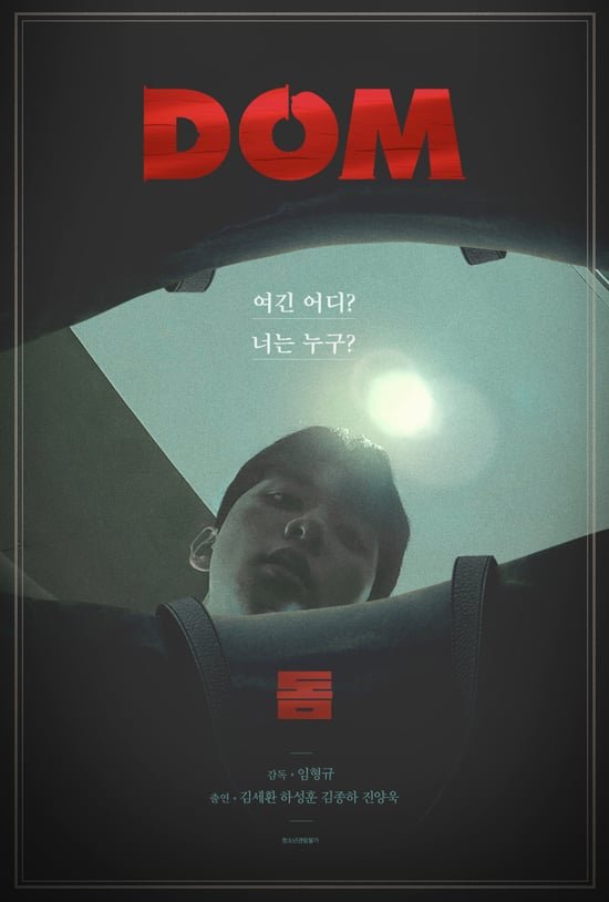 Dom poster