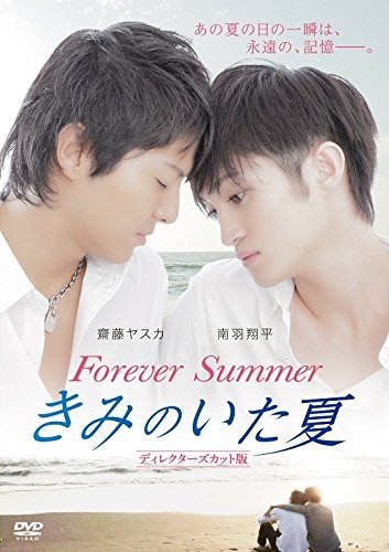 Forever Summer poster