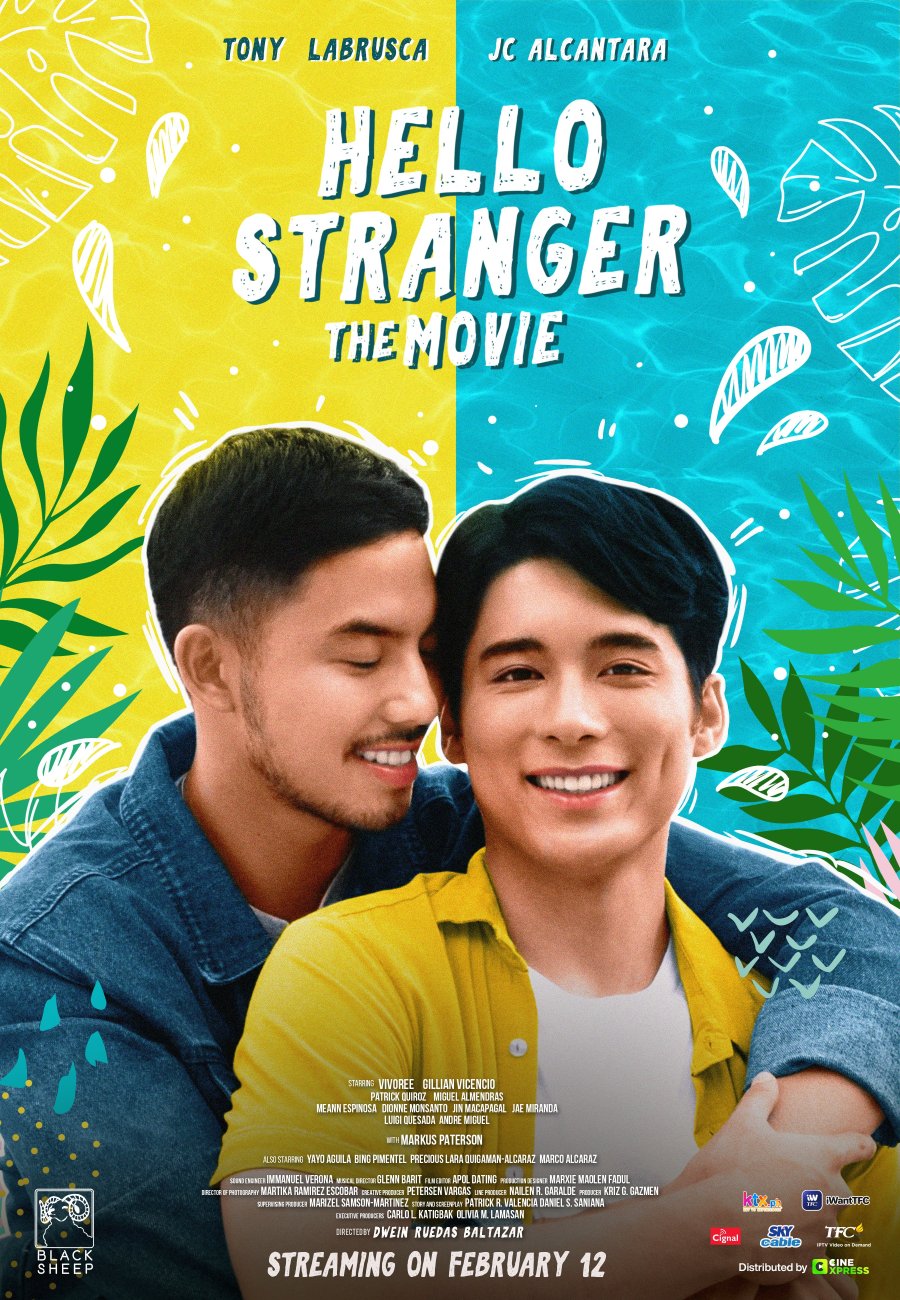 Hello Stranger: The Movie poster