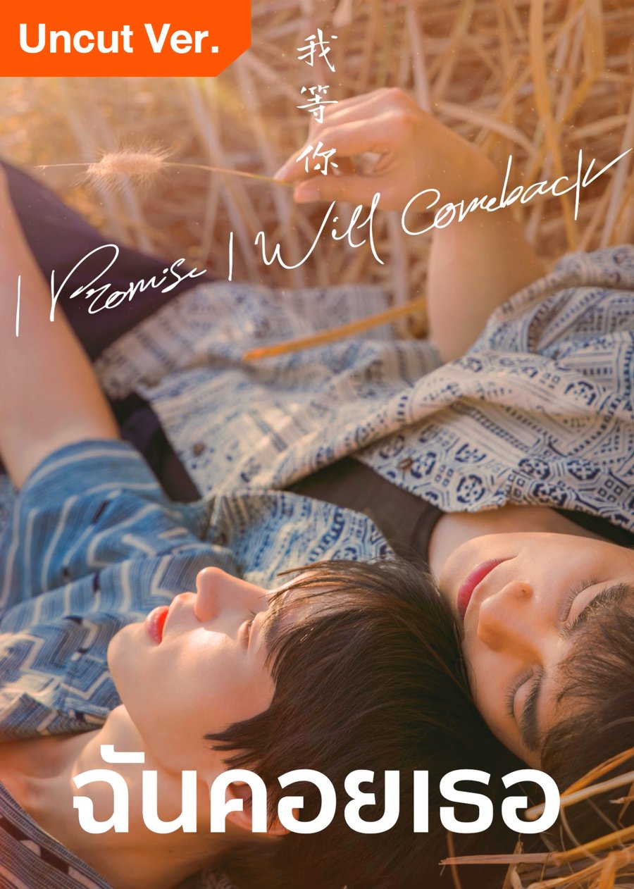 I Promise I Will Come Back (Uncut Ver.) poster