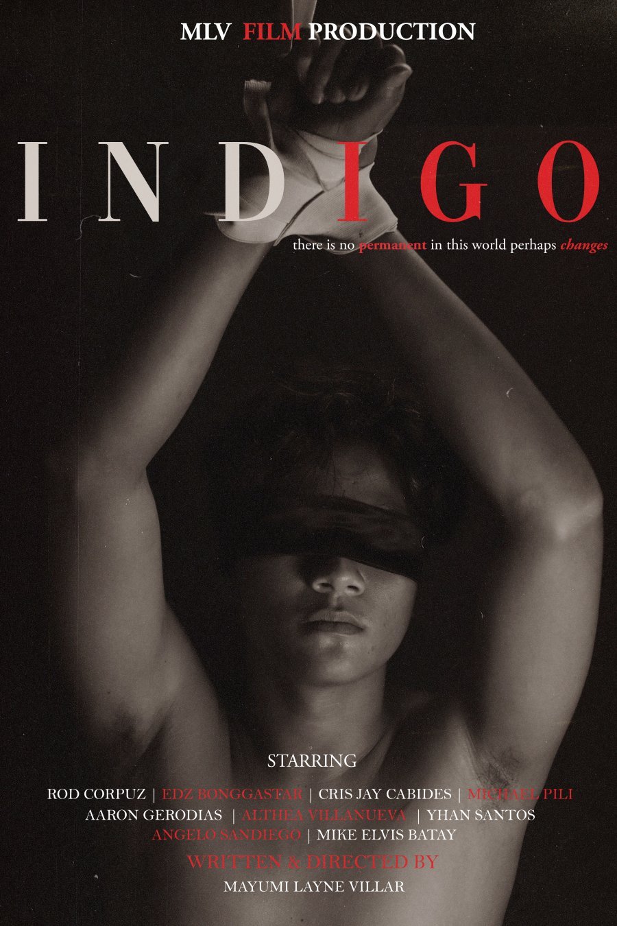 Indigo poster