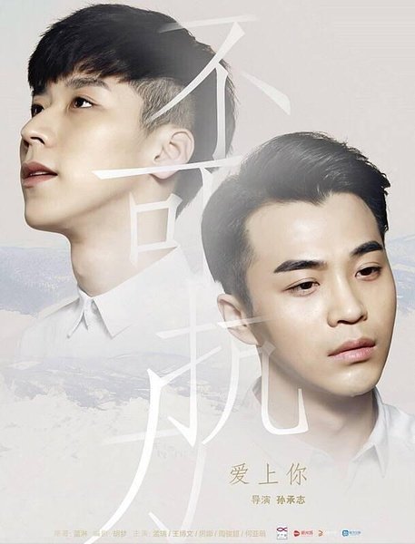 Irresistible Love 2 poster