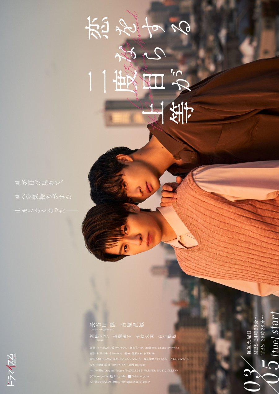Love Is Better the Second Time Around poster