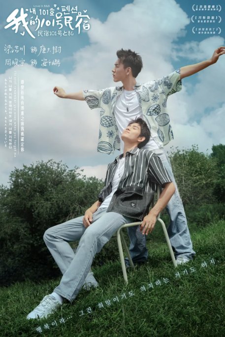 Love in B&B poster