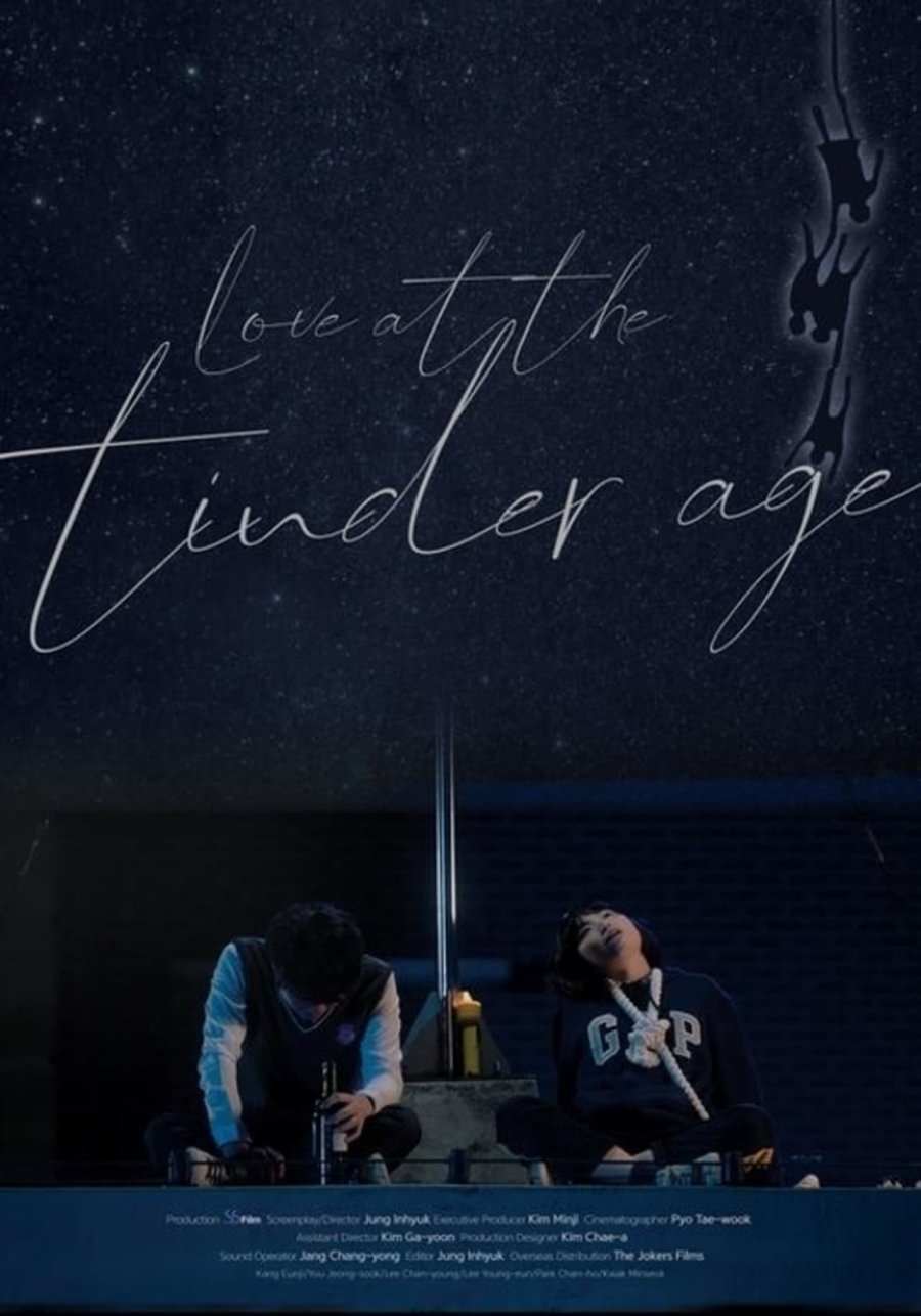 Love in the Tinder Age poster