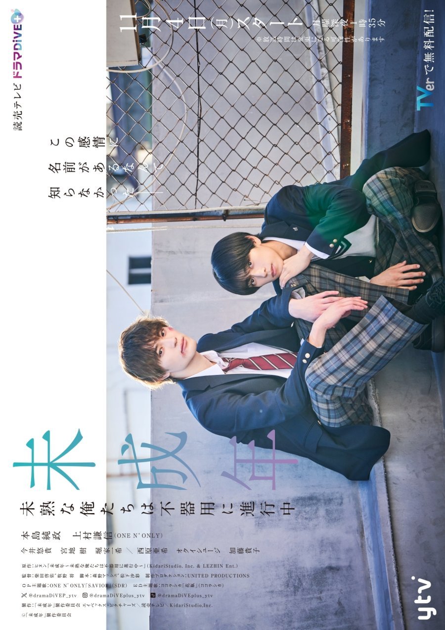 Our Youth: After Story poster