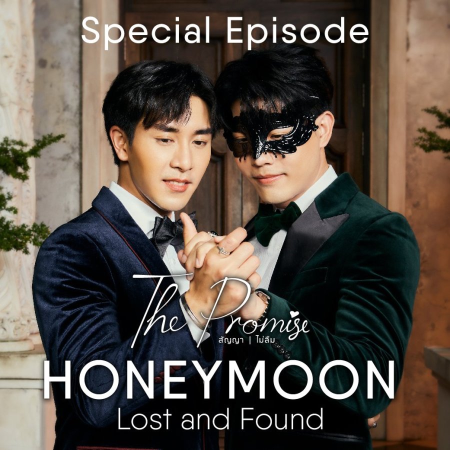 The Promise: Honeymoon Lost and Found poster