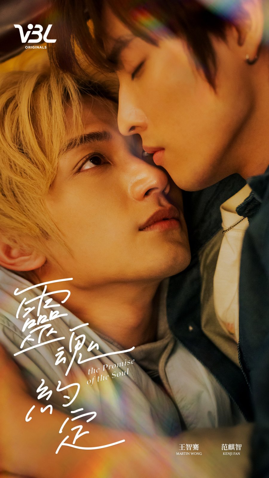 The Promise of the Soul poster