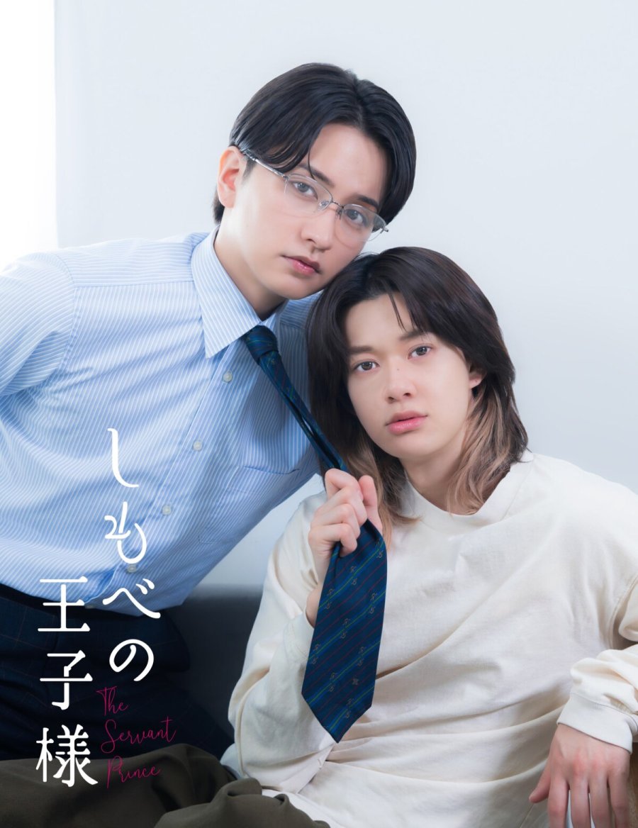 The Servant Prince poster