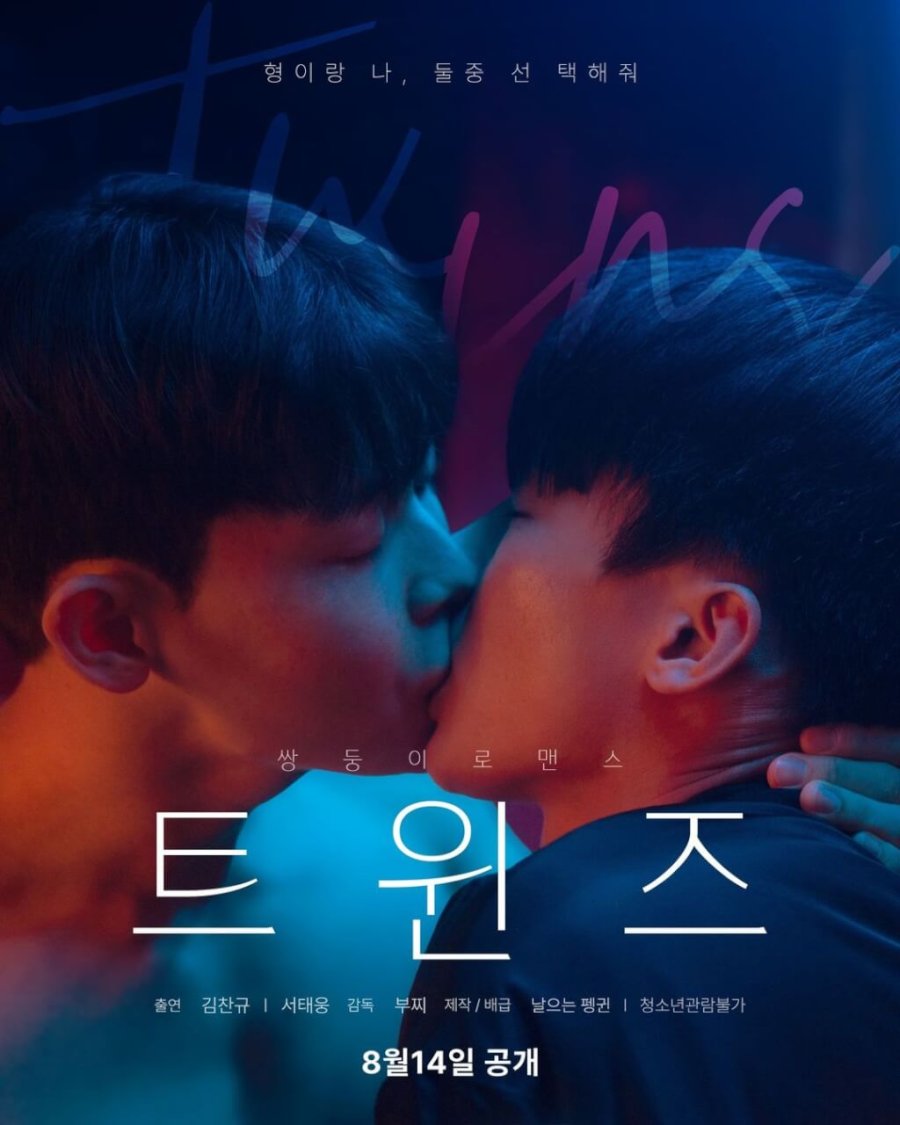 Twins poster