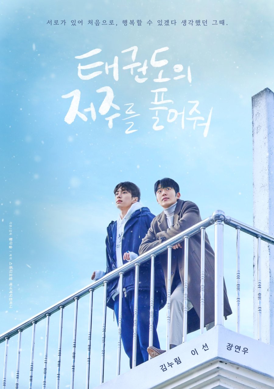 Let Free the Curse of Taekwondo poster