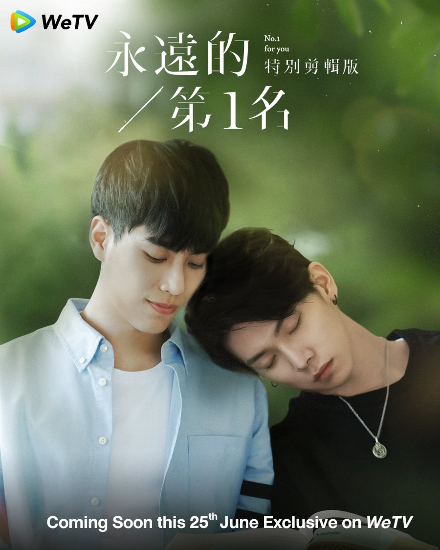 We Best Love: No. 1 For You Special Edition poster