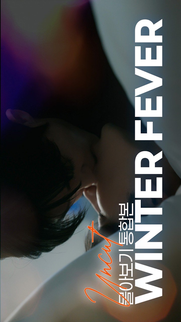 Winter Fever (Director's Cut) poster