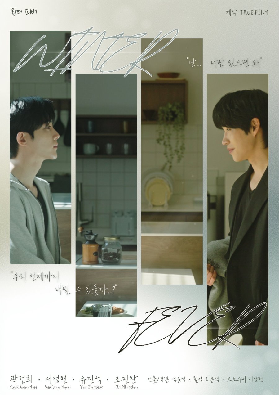 Winter Fever poster